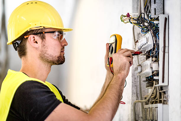 Best Electrical Panel Upgrades  in Smith Valley, NV